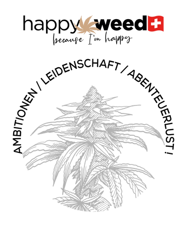 CBD Blüten